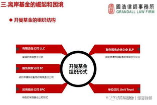 监管升级背景下，海外投资的策略调整与投资管理之道