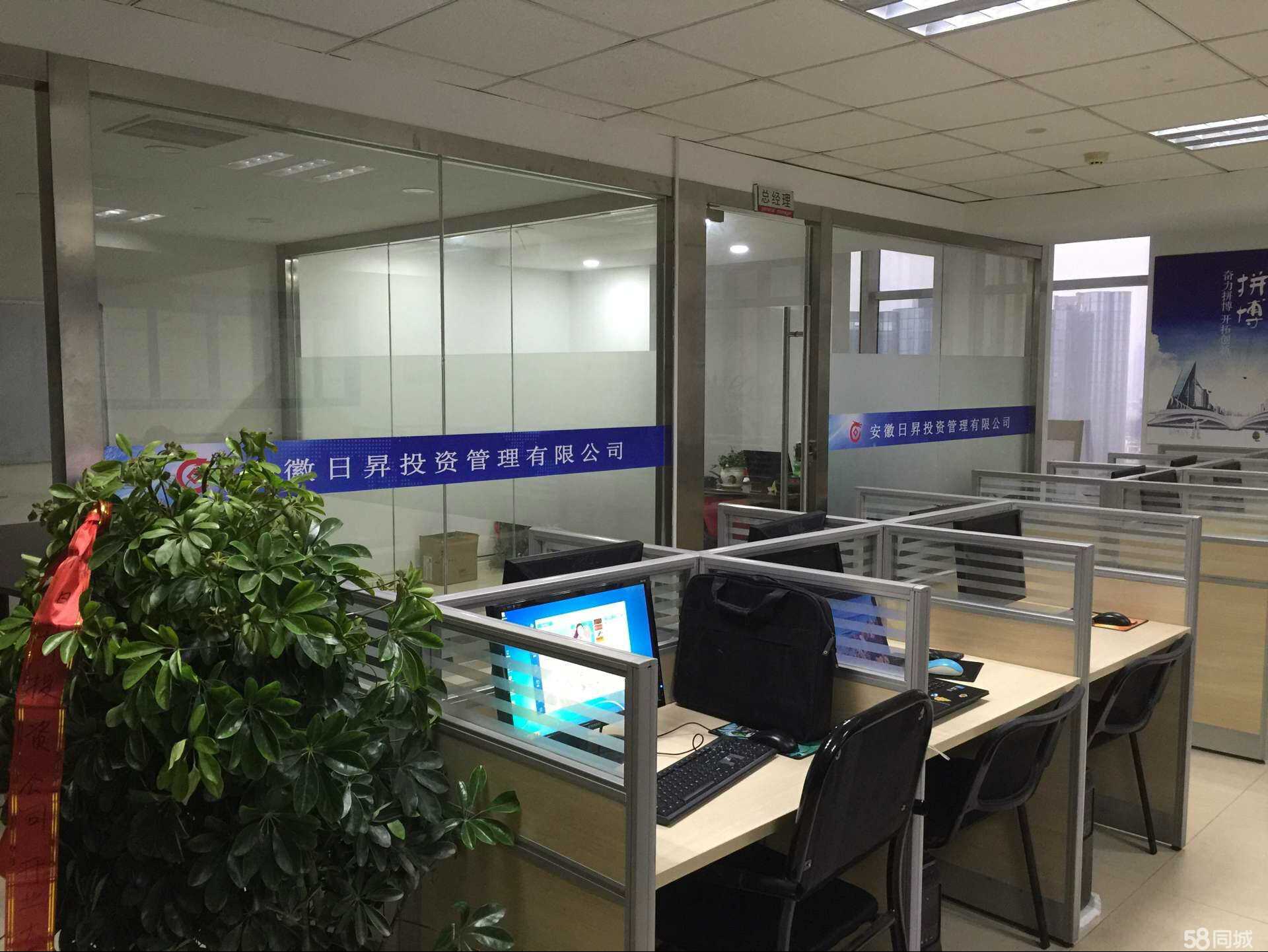 投资管理的智慧 芜湖启辰的实战策略